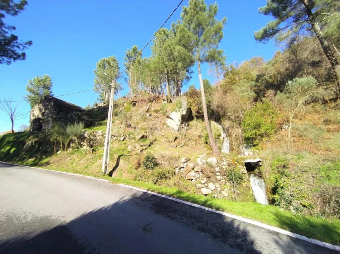 Terreno para Venda em Ferreiros de Tendais Foto 3