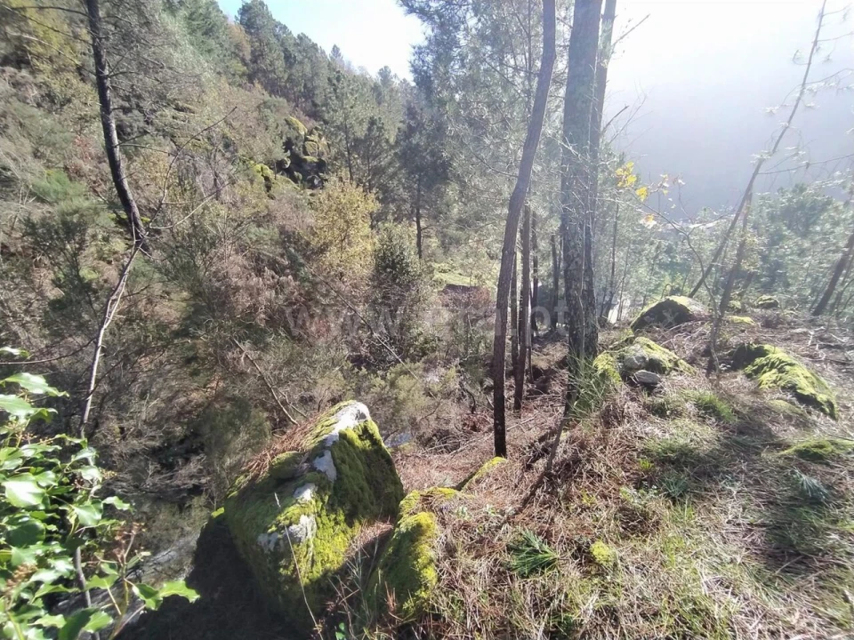 Terreno para Venda em Ferreiros de Tendais Foto 12