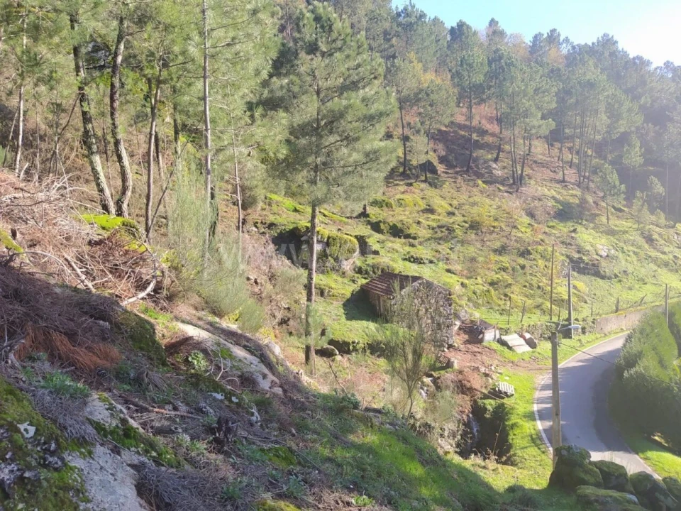 Terreno para Venda em Ferreiros de Tendais Foto 7