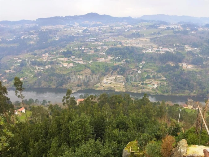 Terreno para Venda em Espadanedo Foto 1