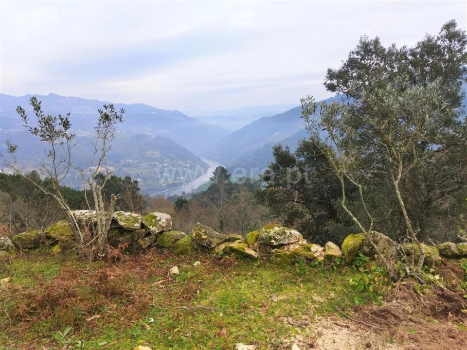 Terreno para Venda em Espadanedo Foto 5