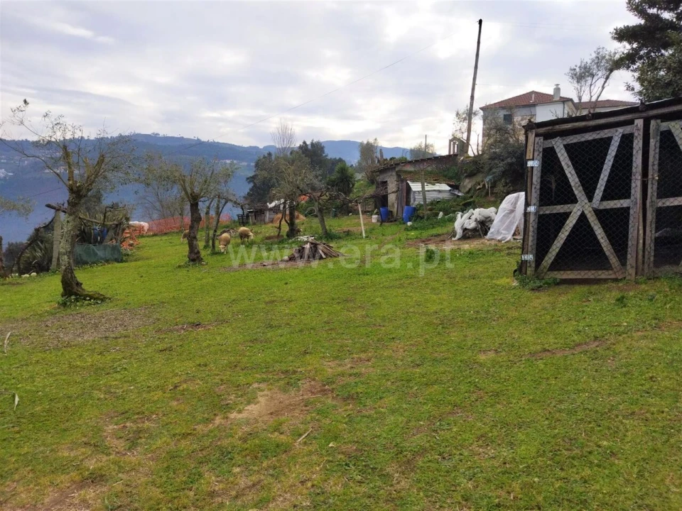 Terreno para Venda em Espadanedo Foto 3