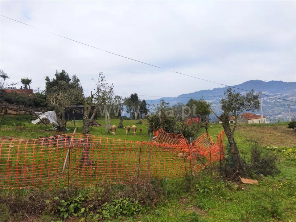 Terreno para Venda em Espadanedo Foto 8