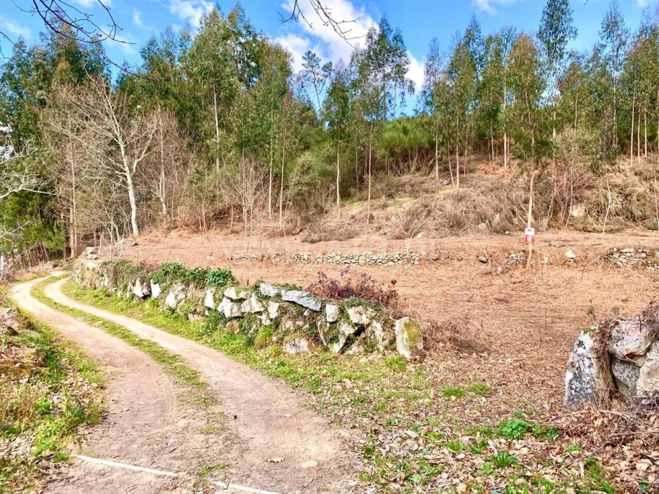 Terreno para Venda em Fornelos Foto 1