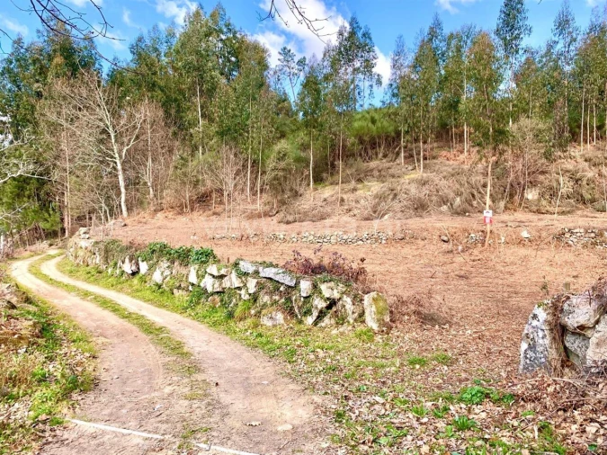 Terreno para Venda em Fornelos Foto 1