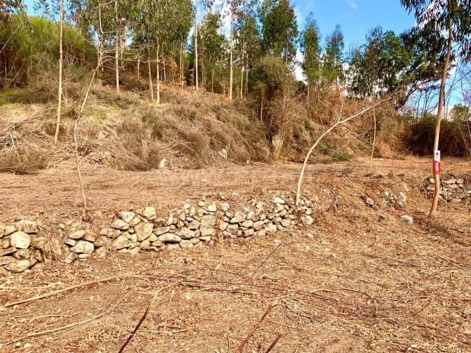 Terreno para Venda em Fornelos Foto 8