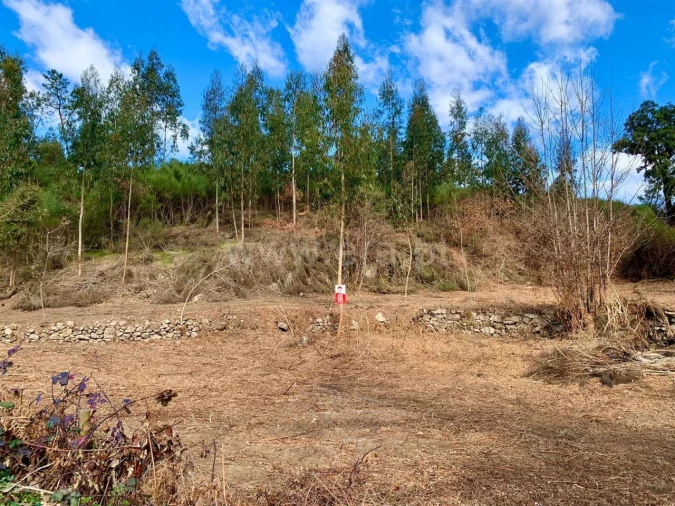 Terreno para Venda em Fornelos Foto 6