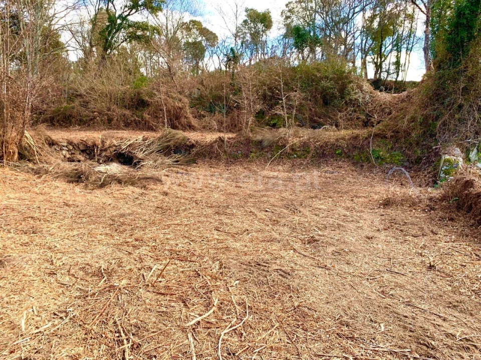 Terreno para Venda em Fornelos Foto 3