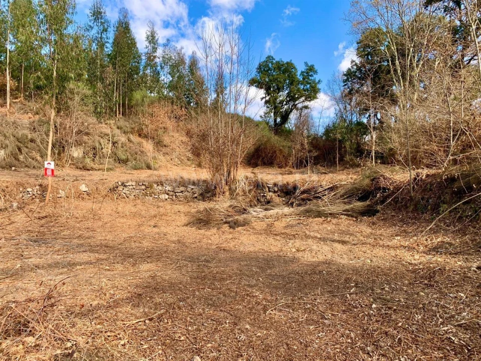 Terreno para Venda em Fornelos Foto 7