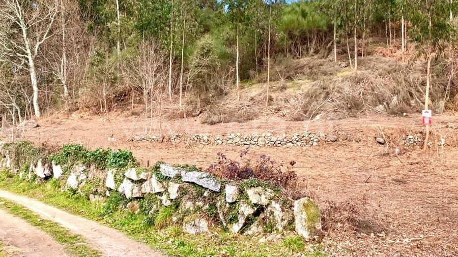 Terreno para Venda em Fornelos