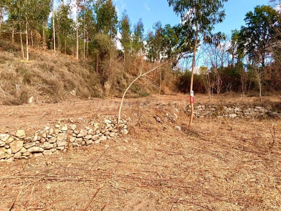 Terreno para Venda em Fornelos Foto 2