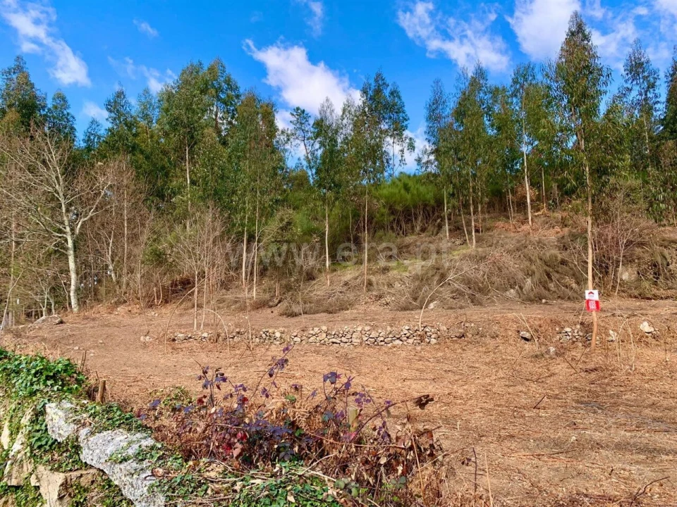 Terreno para Venda em Fornelos Foto 5