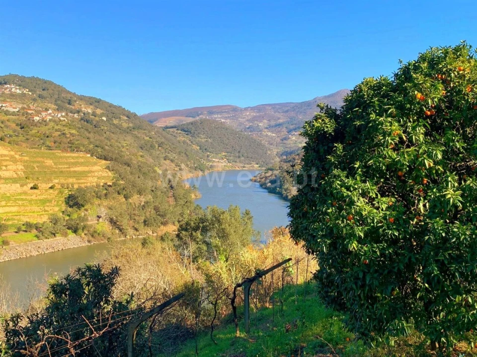 Terreno para Venda em Resende Foto 8