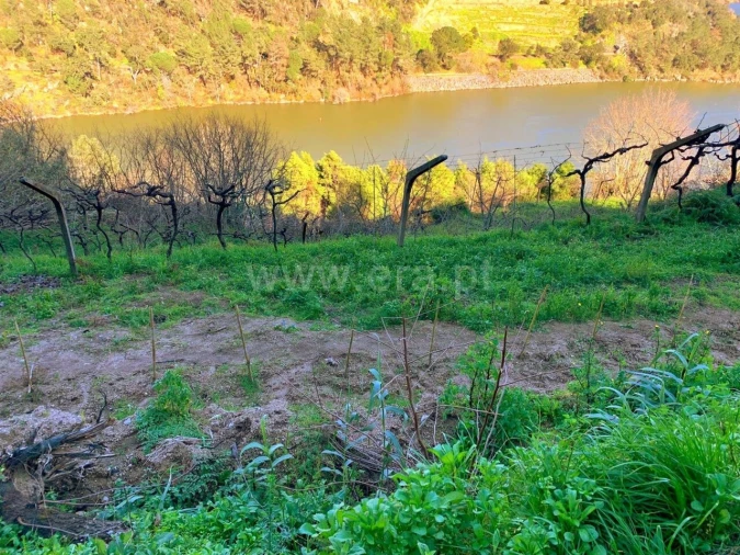 Terreno para Venda em Resende Foto 10