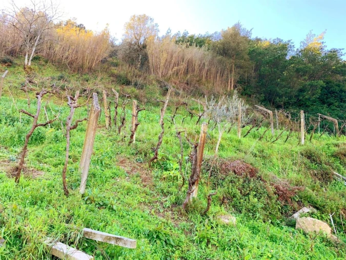 Terreno para Venda em Resende Foto 7