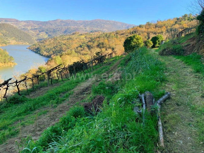 Terreno para Venda em Resende Foto 9