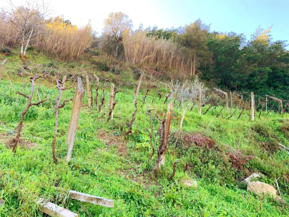 Terreno para Venda em Resende Foto 7