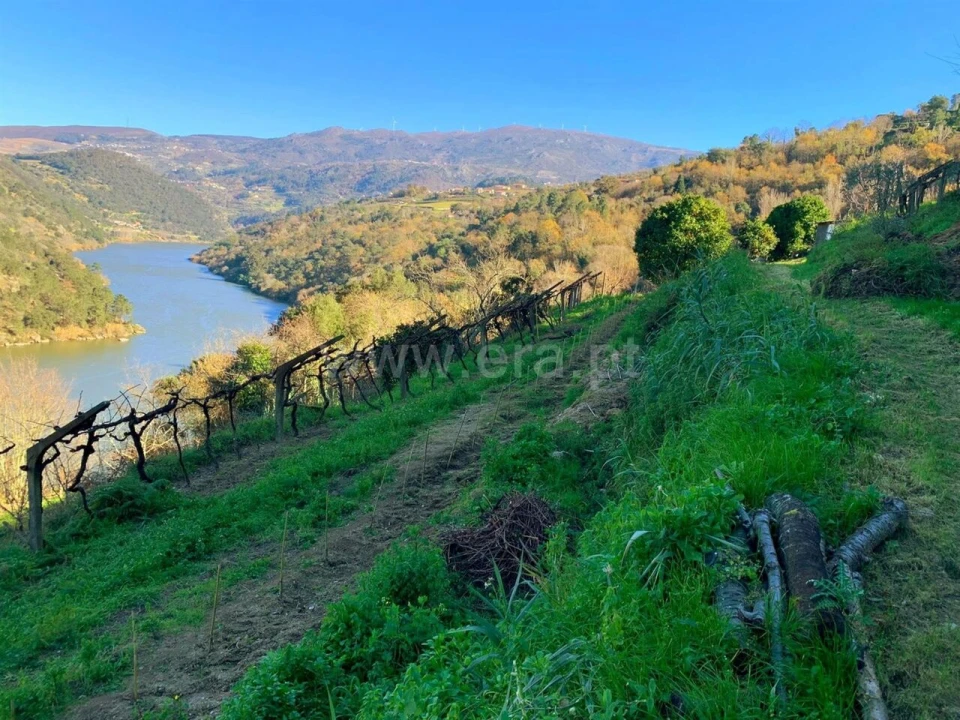 Terreno para Venda em Resende Foto 5