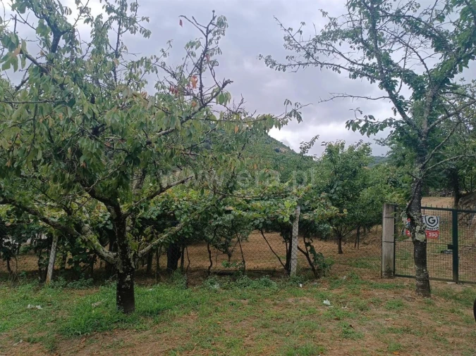 Terreno para Venda em São João de Fontoura Foto 3