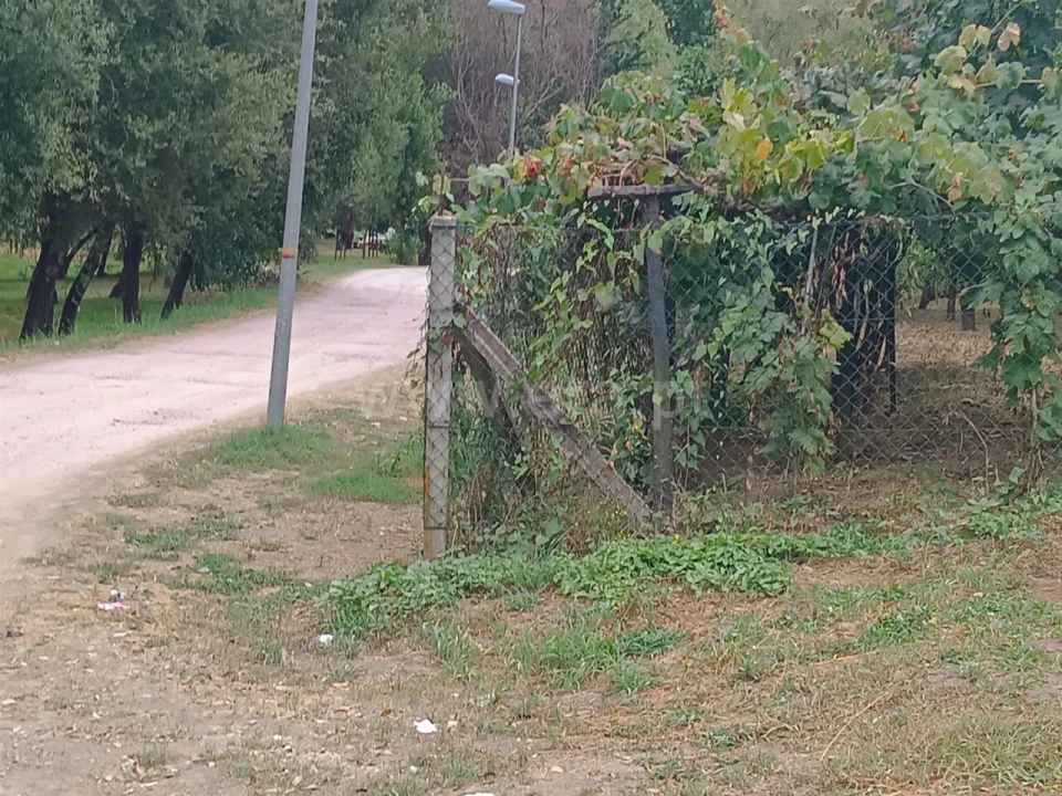 Terreno para Venda em São João de Fontoura Foto 1