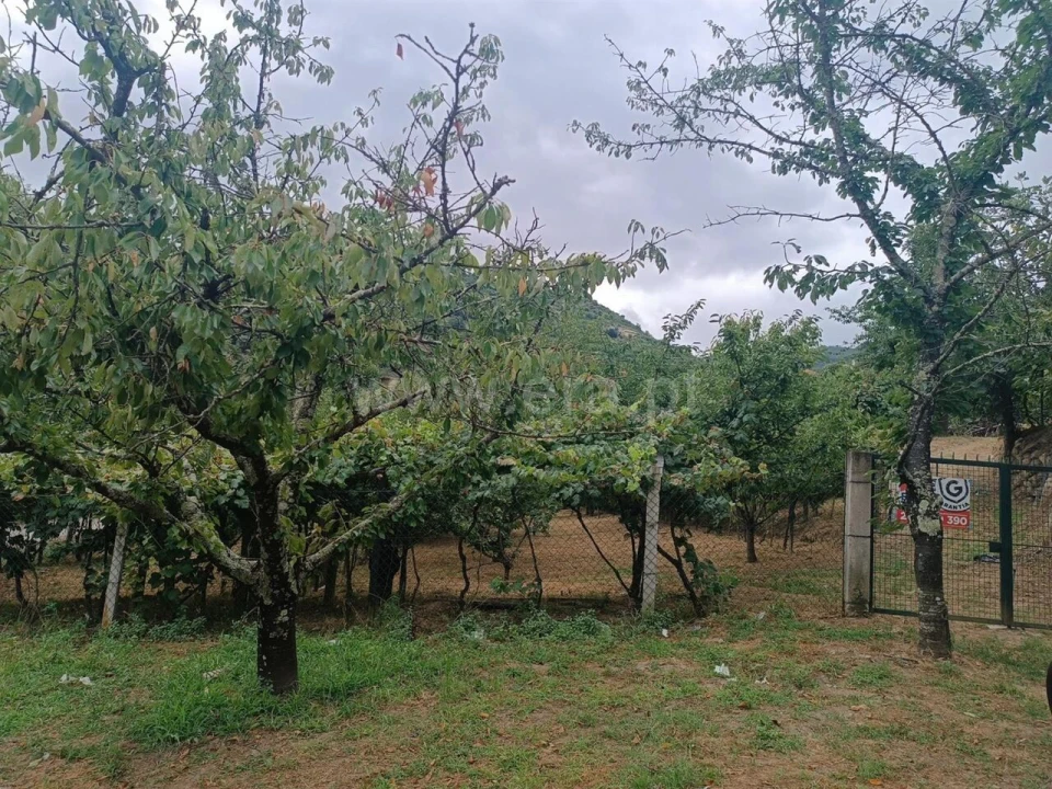 Terreno para Venda em São João de Fontoura Foto 3