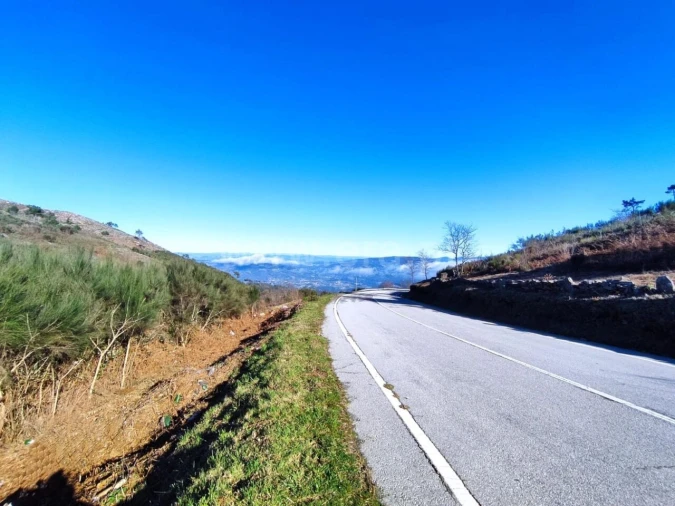 Terreno para Venda em São Cristovão de Nogueira Foto 4