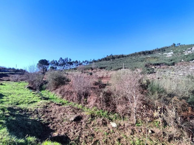 Terreno para Venda em São Cristovão de Nogueira Foto 5