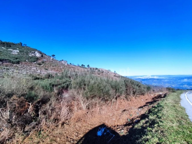Terreno para Venda em São Cristovão de Nogueira Foto 7