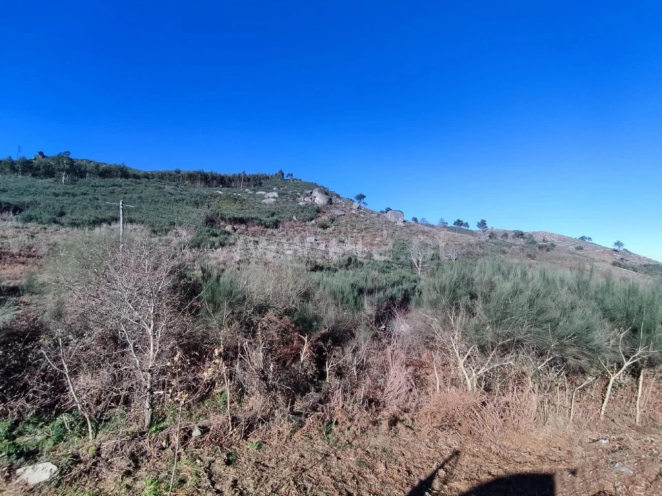 Terreno para Venda em São Cristovão de Nogueira Foto 6
