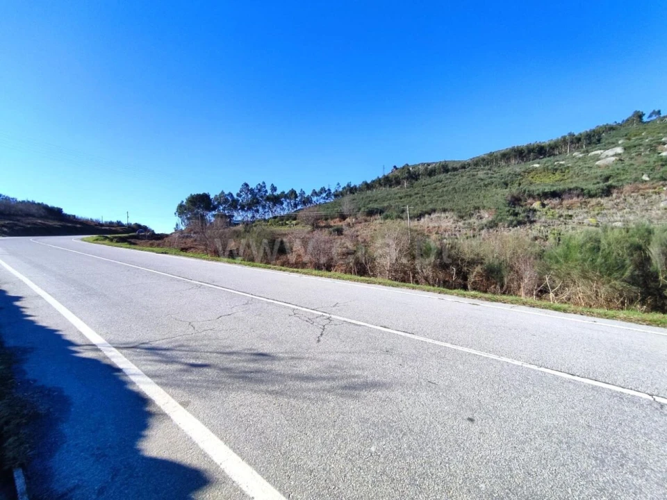 Terreno para Venda em São Cristovão de Nogueira Foto 2