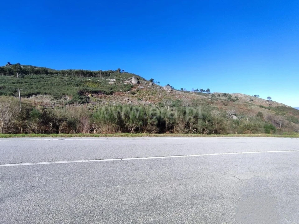 Terreno para Venda em São Cristovão de Nogueira Foto 3