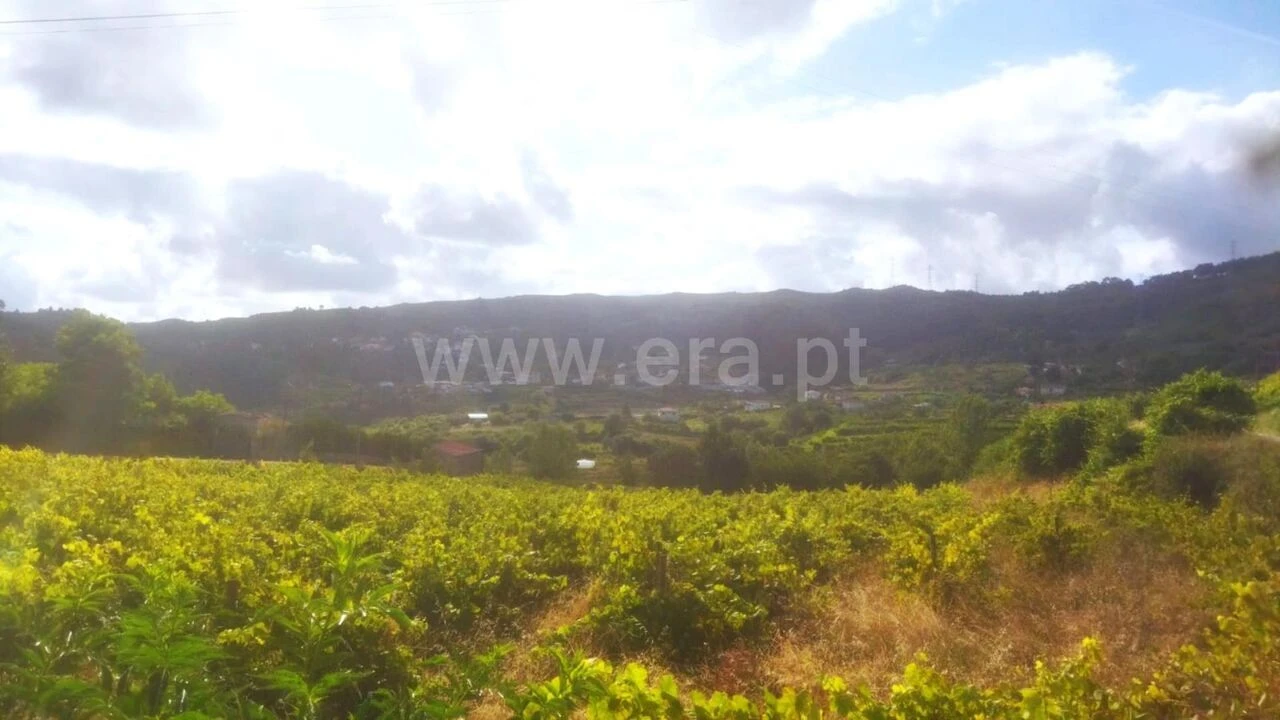 Terreno para Venda em Gove Foto 4