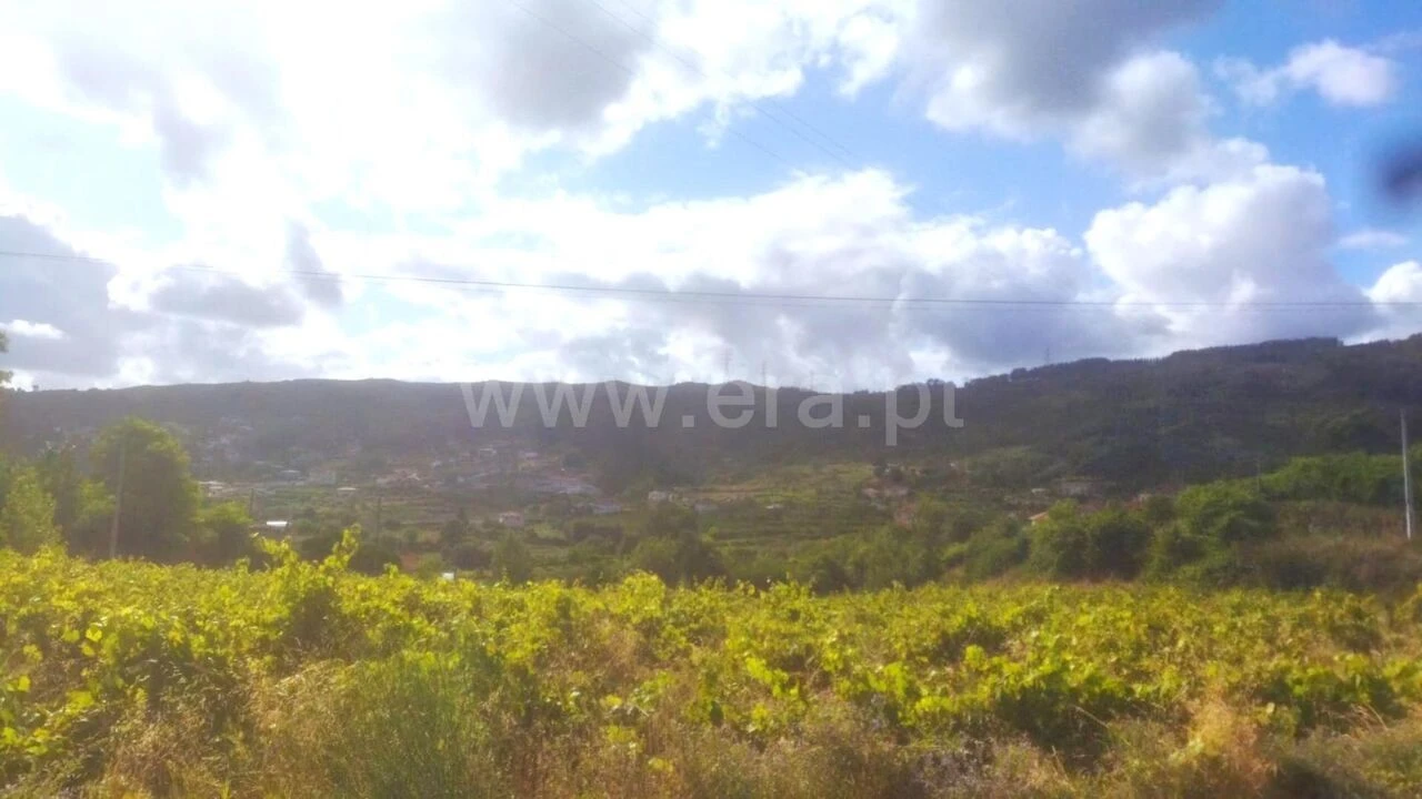 Terreno para Venda em Gove Foto 3