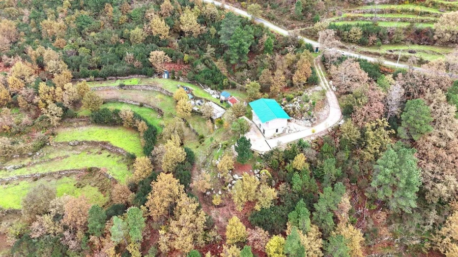 Terreno para Venda em Ferreiros de Tendais Foto 4