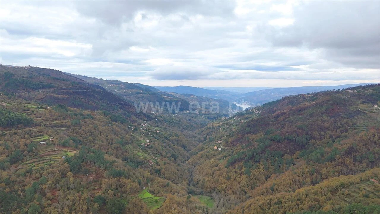 Terreno para Venda em Ferreiros de Tendais Foto 11