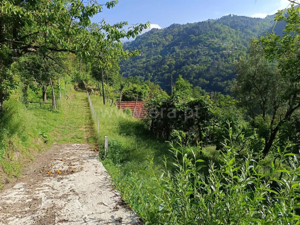 Moradia T1 para Venda em Ferreiros de Tendais Foto 6