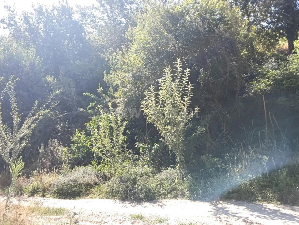 Terreno para Venda em Avessadas e Rosém Foto 8