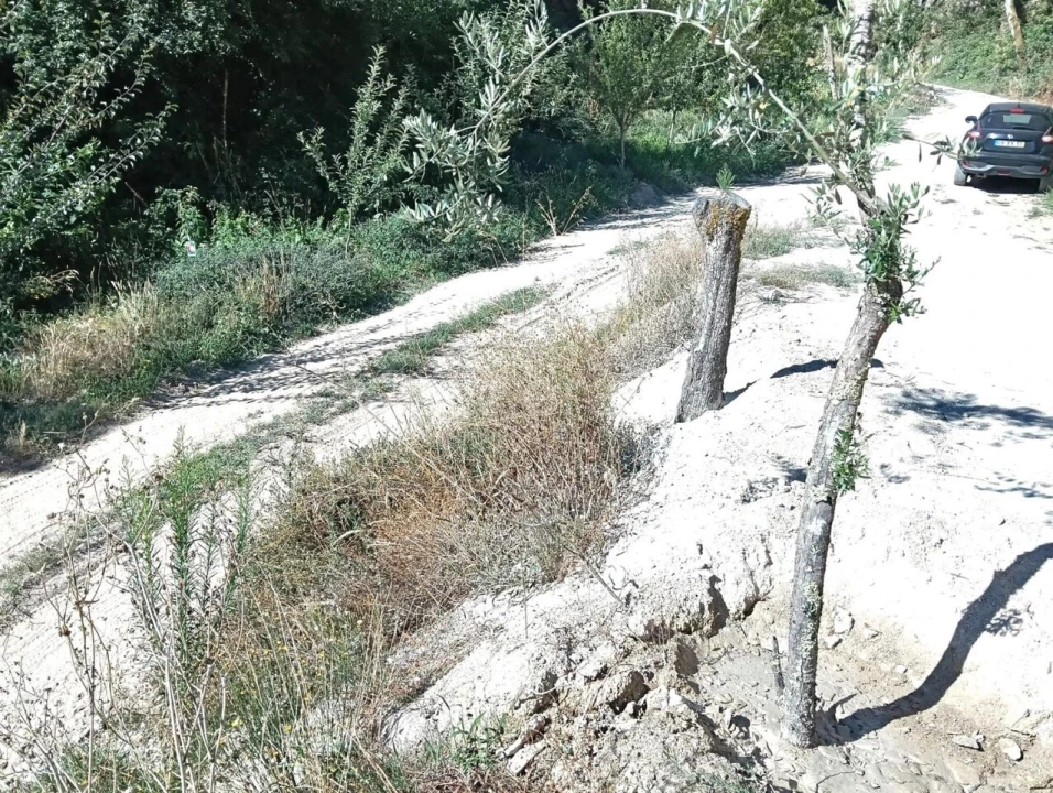 Terreno para Venda em Avessadas e Rosém Foto 16