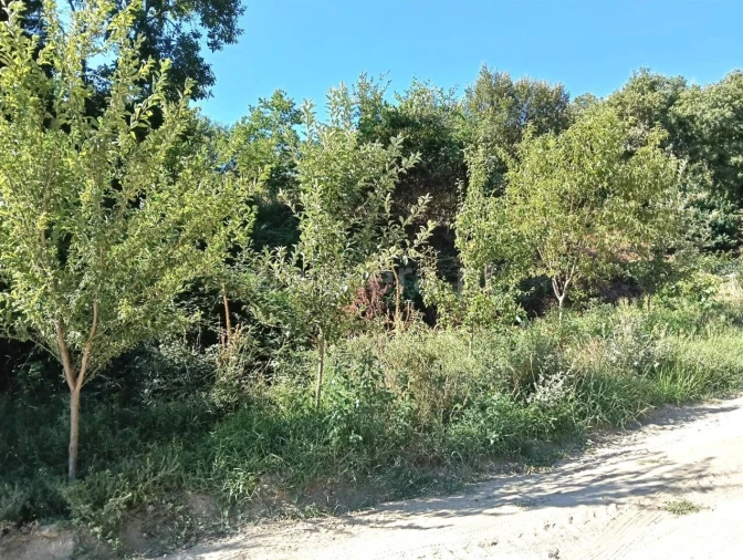 Terreno para Venda em Avessadas e Rosém Foto 11