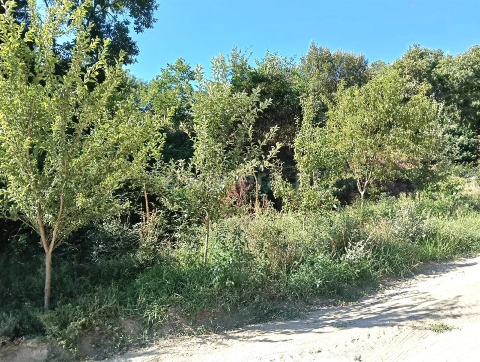 Terreno para Venda em Avessadas e Rosém Foto 11