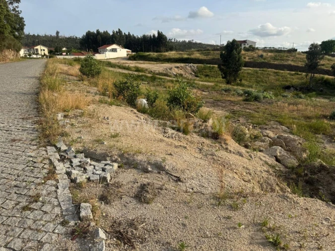 Terreno para Venda em Croca Foto 11