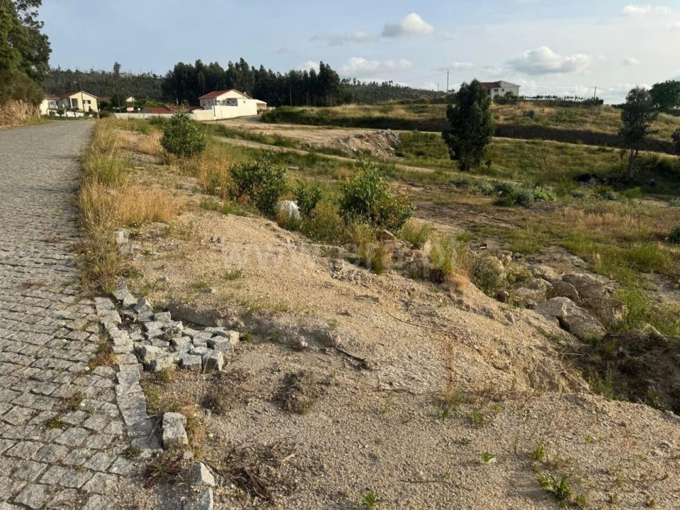 Terreno para Venda em Croca Foto 11