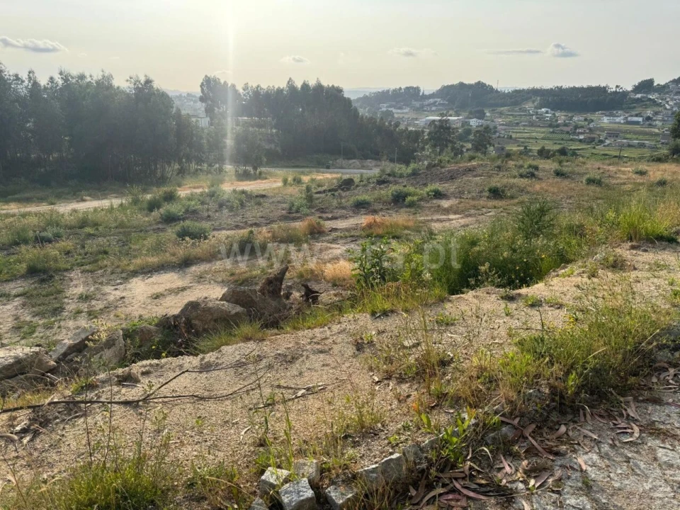Terreno para Venda em Croca Foto 10