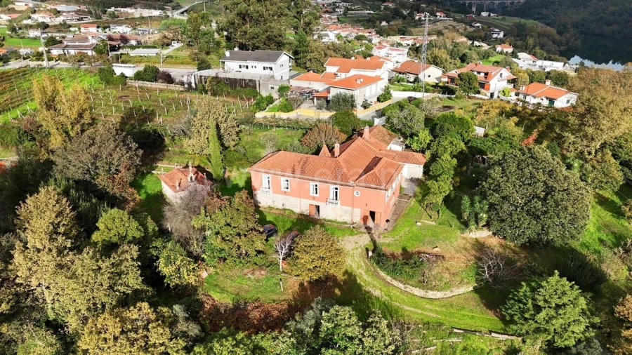 Quinta T5 para Venda em Sobretamega Foto 2