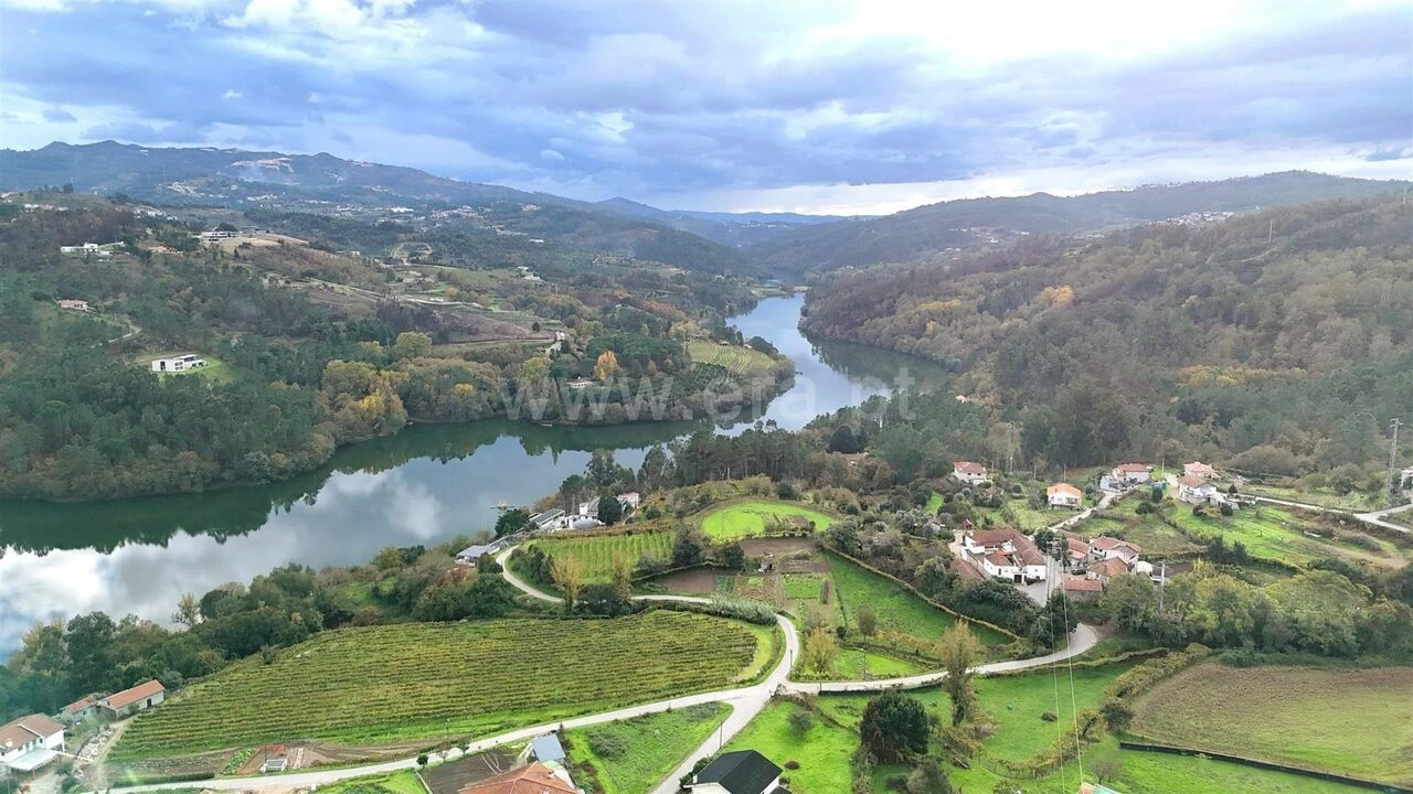 Quinta T5 para Venda em Sobretamega Foto 8