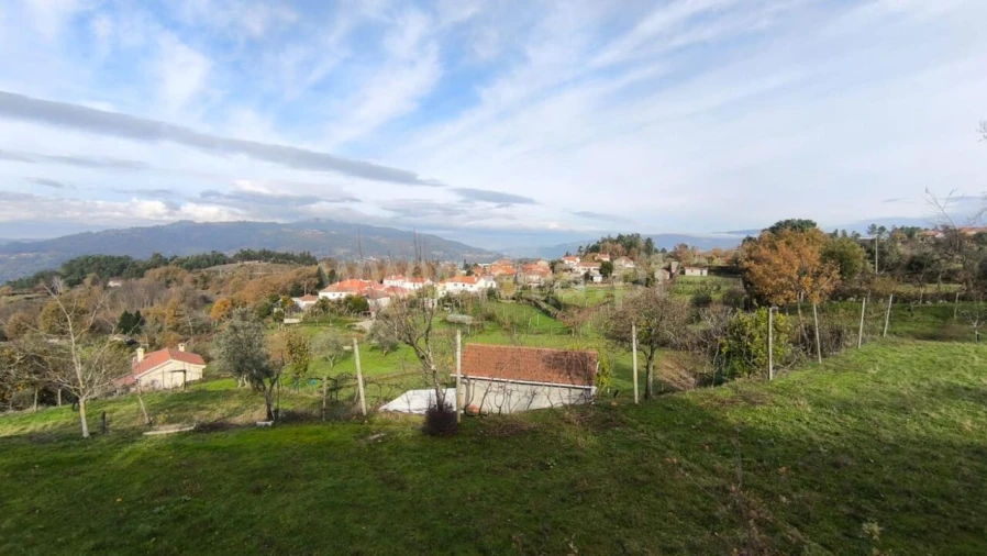 Terreno para Venda em Cinfães Foto 7