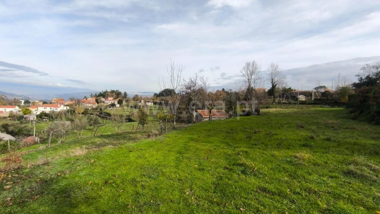 Terreno para Venda em Cinfães Foto 2