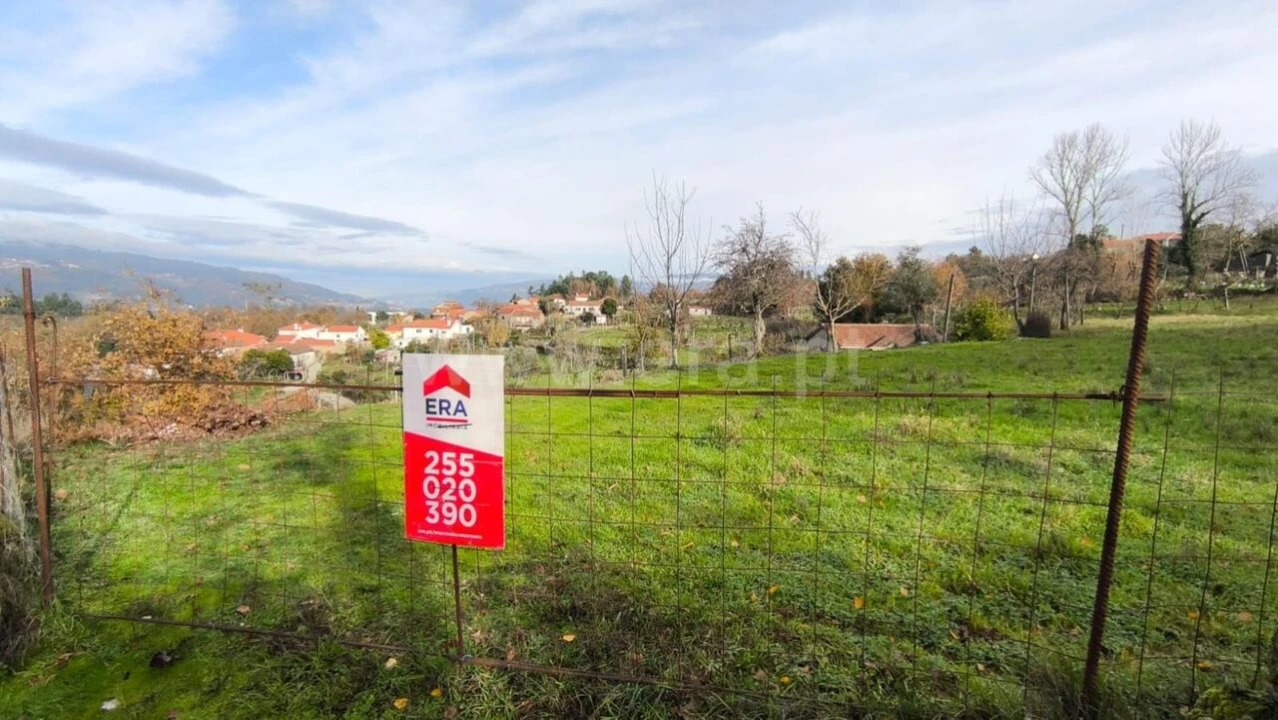 Terreno para Venda em Cinfães Foto 4