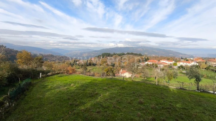 Terreno para Venda em Cinfães