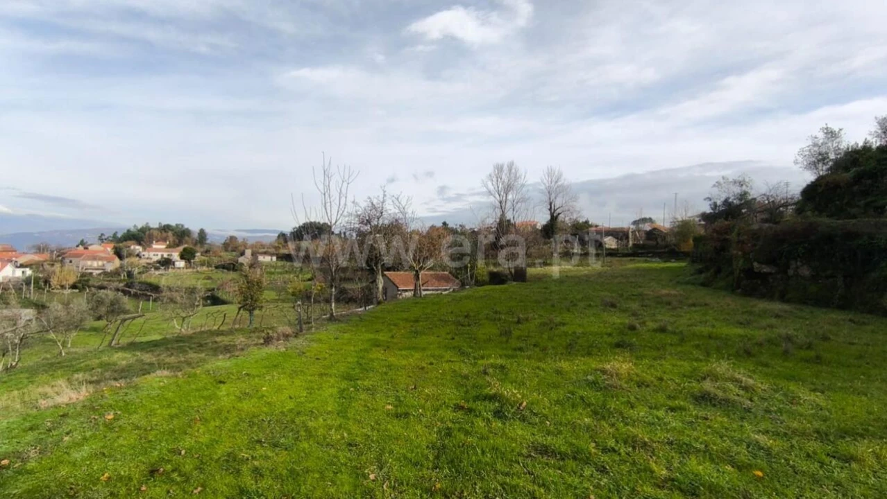 Terreno para Venda em Cinfães Foto 3